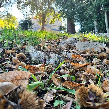 Il Trullo E Il Fortino Alberobello Eksteriør billede