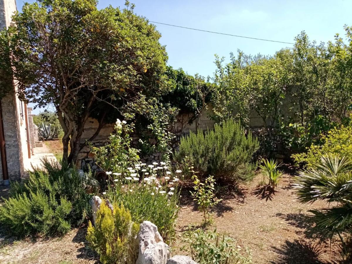 Il Trullo E Il Fortino Alberobello Eksteriør billede