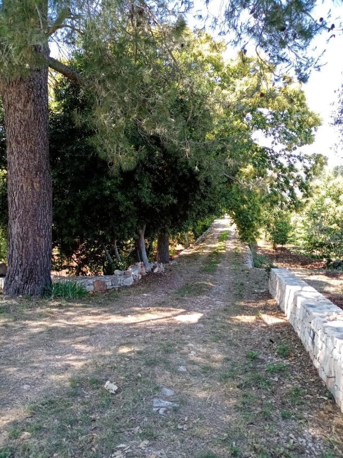 Il Trullo E Il Fortino Alberobello Eksteriør billede
