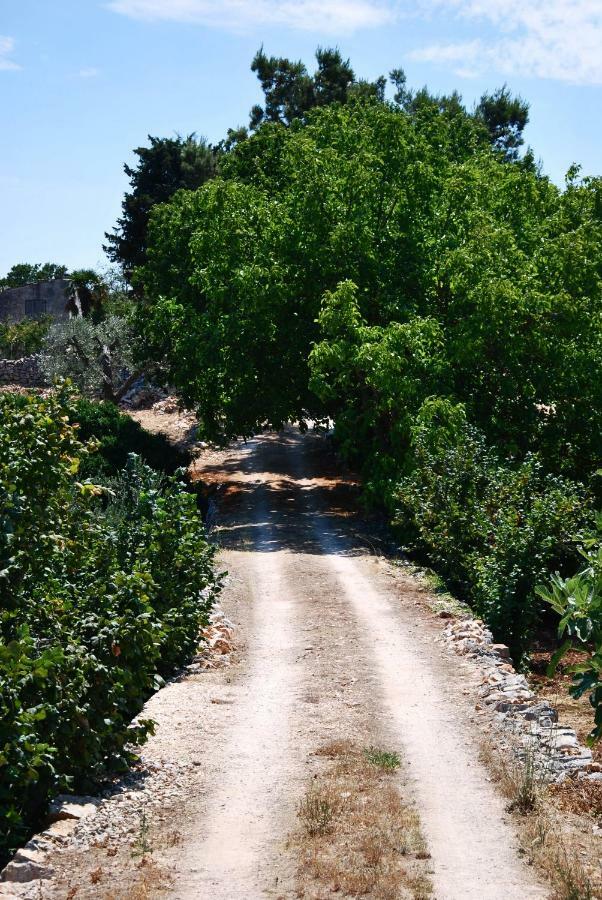 Il Trullo E Il Fortino Alberobello Eksteriør billede